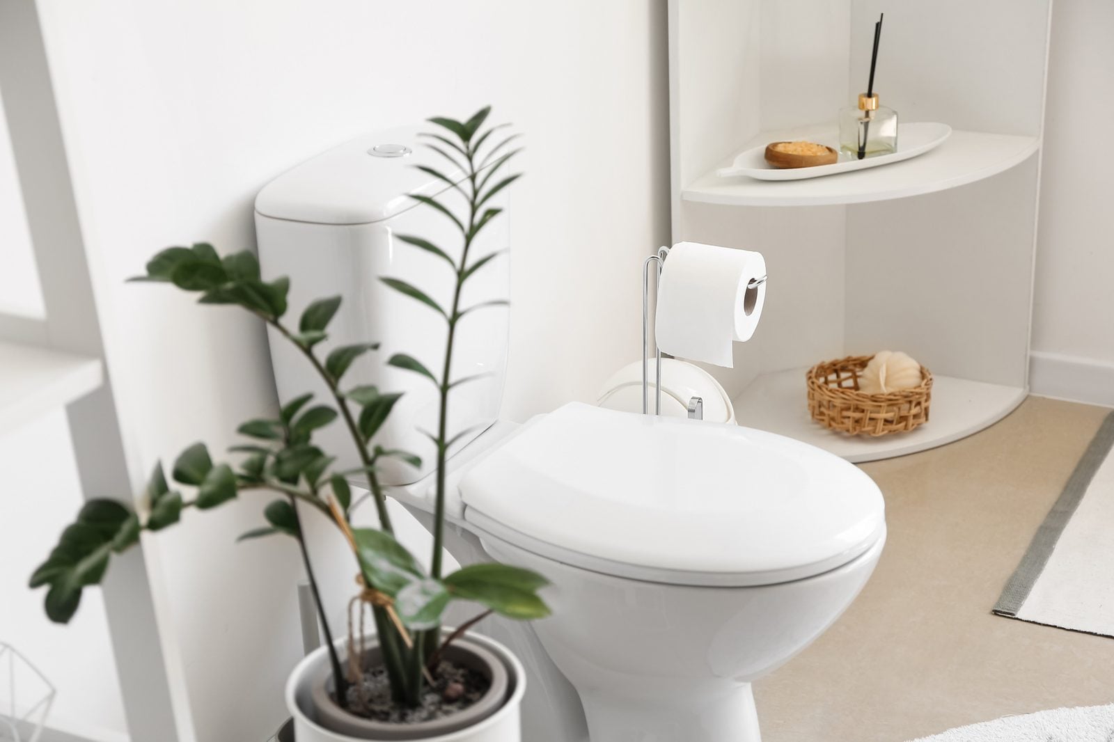 Clean modern bathroom with a white toilet and plant